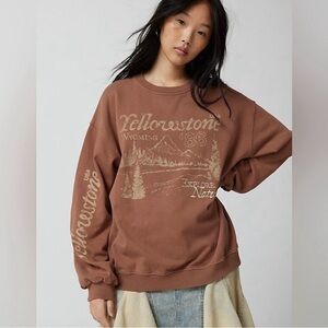 Urban Outfitters Yellowstone National Park Light Brown Sweater